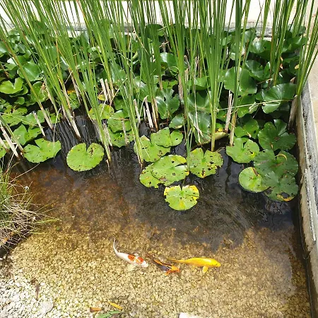 Hébergement de vacances De Charme, Bastide Avec Piscine Sainte-Juliette